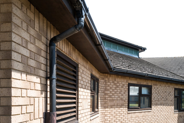 英国一家只有一层楼高的大型医院的抽象形象。图片下载