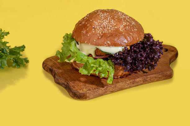 烤新鲜汉堡，配牛肉饼，西红柿，奶酪，黄瓜和生菜。在颜色。图片下载
