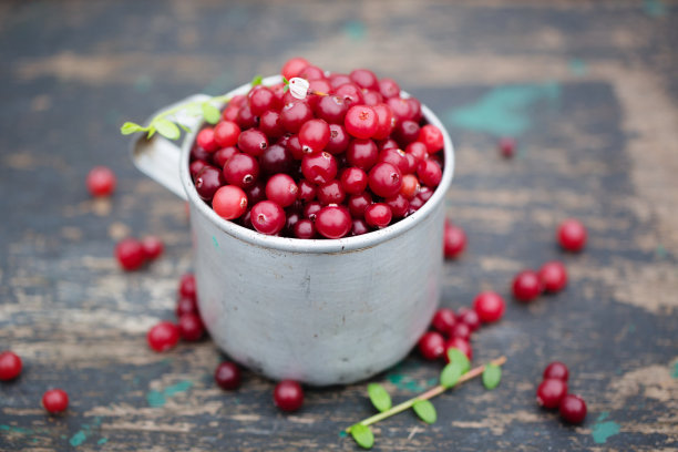 蔓越莓在黑色背景的复古金属杯图片下载
