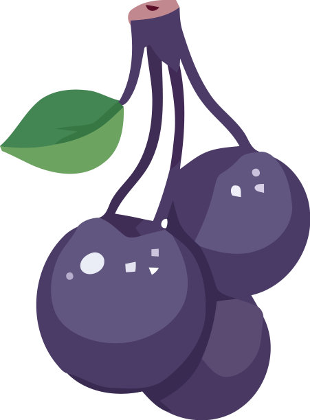 多汁的蓝莓水果健康的饮食习惯图片下载