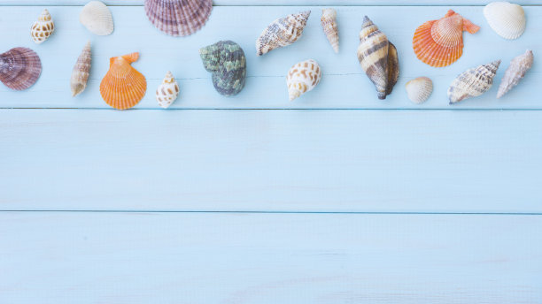 浅蓝色木制背景上不同颜色和形状的贝壳图片下载