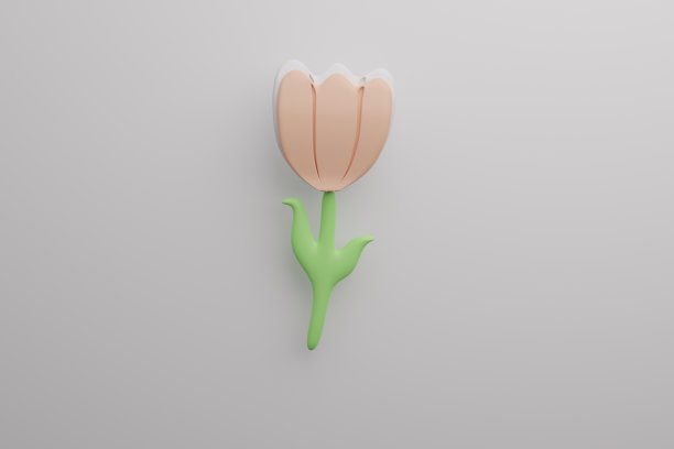 郁金香，紫色，橙色，白色，3d图片下载