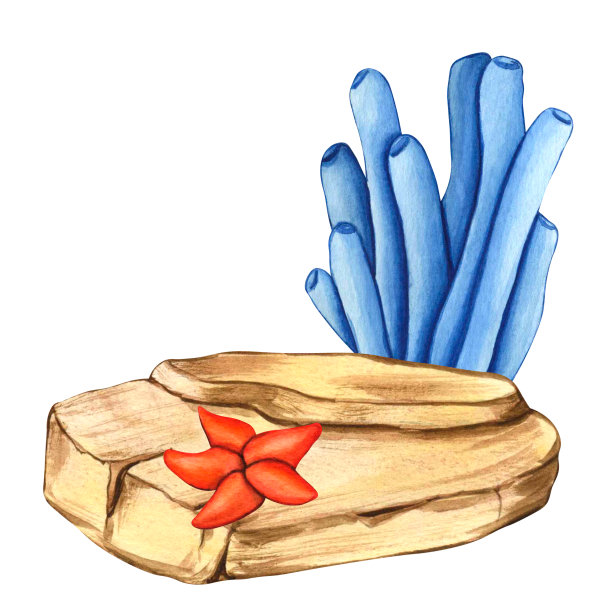 水彩画石头，海星和蓝色海藻。插图水下的草和岩石的集合，自然景观插图元素，孤立的白色背景上的儿童印刷图片下载