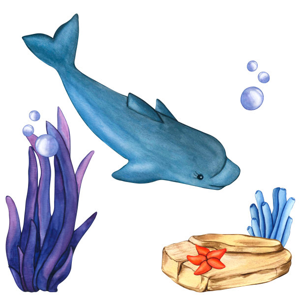 水彩海豚，石头，海星，气泡，蓝色和紫色海藻。插图水下的草和岩石的集合，自然景观插图元素，孤立的白色背景上的儿童印刷图片下载