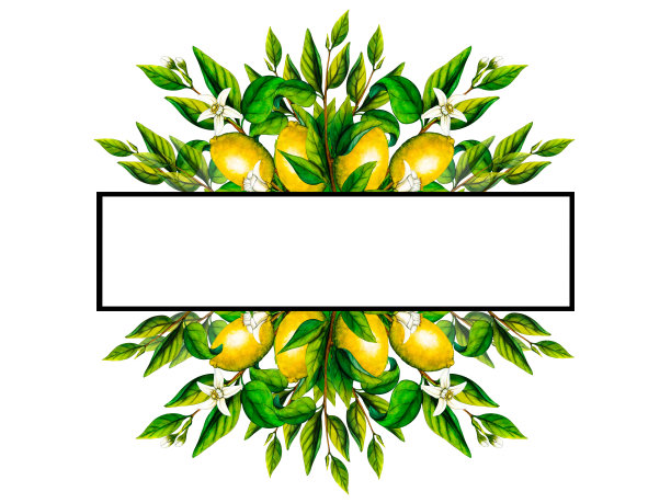 水彩框架柠檬树枝与花隔离在白色背景。手绘植物插图黄色柑橘类水果。用于设计的剪贴画对象图片下载