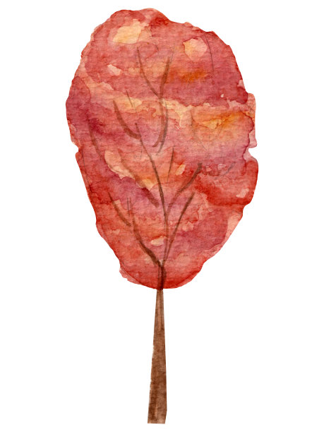 水彩秋天插图，明亮的橙色树，孤立在白色的背景。图片下载