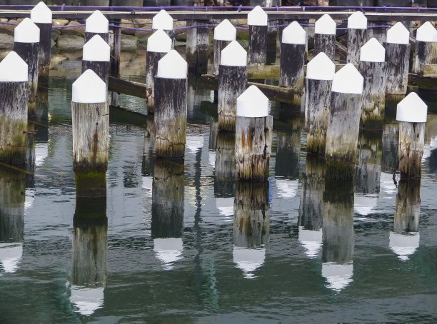 墨尔本码头区的桩基图片下载