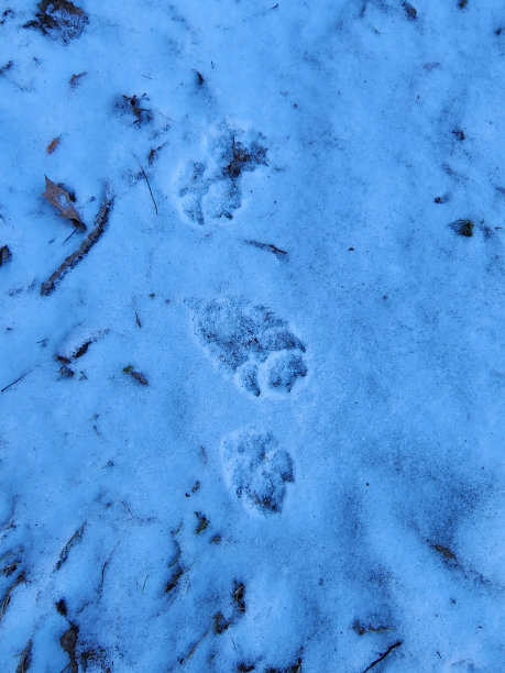 我们在这里图片下载