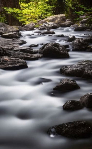 小河里的小溪图片下载