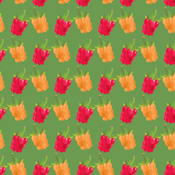 树莓无缝模式图片下载