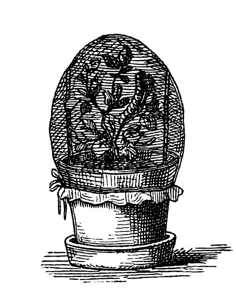 卡特彼勒收集图片下载