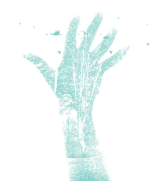 手、树和鸟多次暴露图片下载