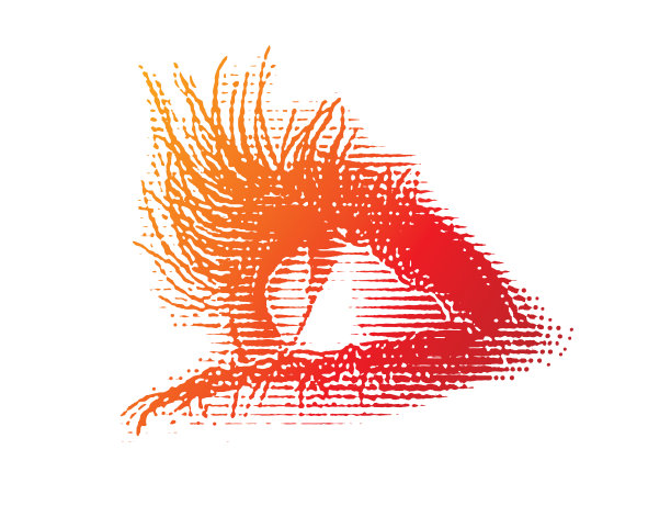 美丽女性眼睛的极端特写图片下载