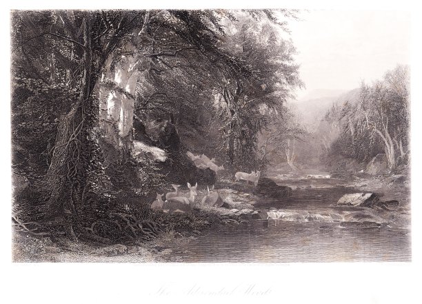 阿迪朗达克林地，纽约州，美国，美国地理图片下载