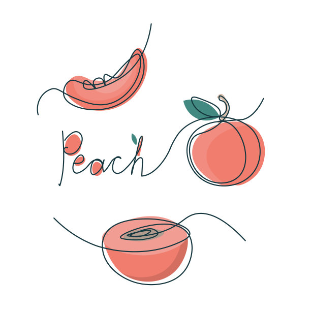 单线桃设计手绘极简主义风格图片下载