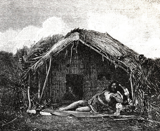 毛利战士在他的小屋图片下载