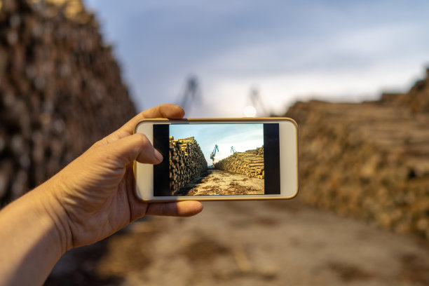 一只用手机给木头码头拍照的手图片下载