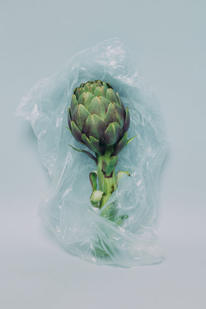 灰色背景上塑料袋里的鲜朝鲜蓟。图片下载
