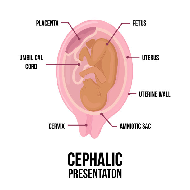 拉丁阿拉伯棕色皮肤婴儿不同的错误图片下载