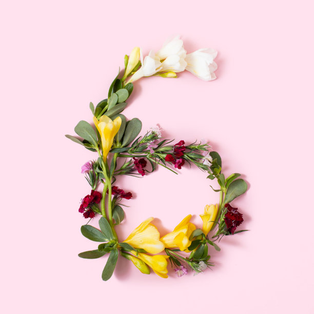 6号是用天然的花，花瓣和叶子做成的。花字体的概念。字母和数字的集合。春夏假期创意创意。图片下载