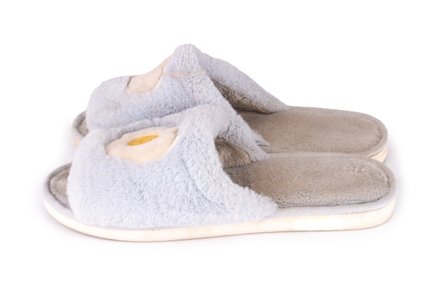 鞋家花孤立在白色背景图片下载