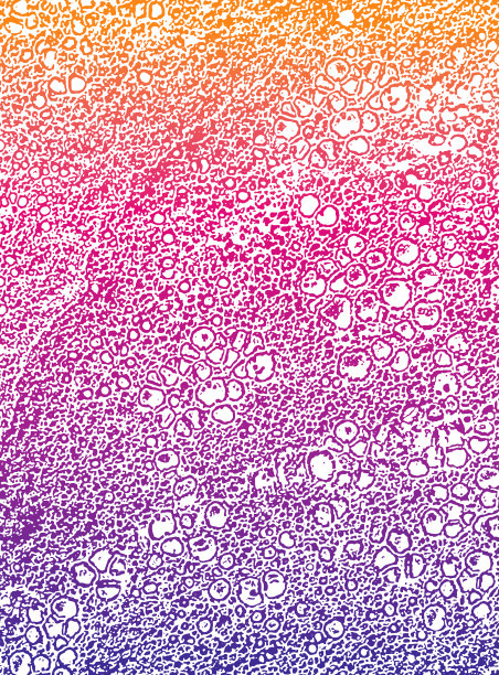 有机纹理背景图片下载
