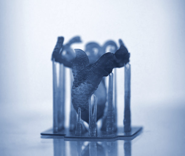 物体是用3d打印机打印的光致聚合物。图片下载