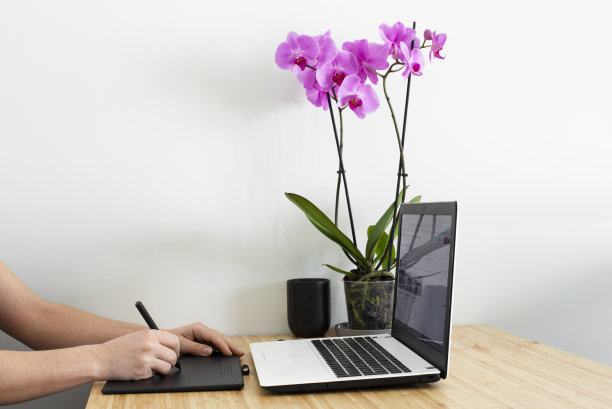 女孩在笔记本电脑后面的平板电脑上画画。使用笔记本电脑工作。图片下载