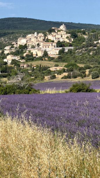 IMG_7527 Simiane la Rotonde图片下载