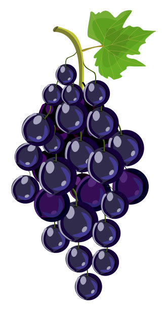 葡萄图片下载
