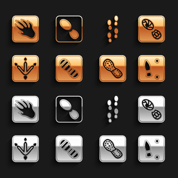 集人类脚印鞋鸡爪短吻鳄图片下载