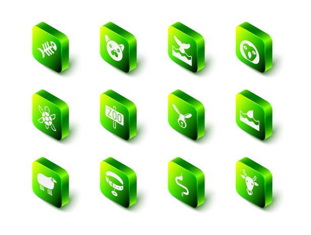 把猫鲸鱼的尾巴放在海浪猫头鹰鸟鲨鱼图片下载