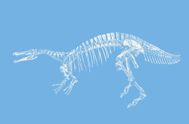恐龙骨架图片下载