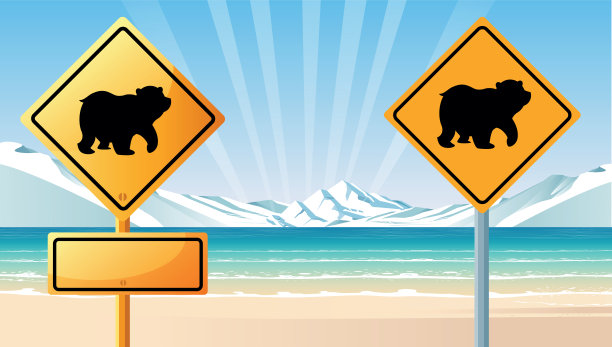 北极熊和极地图片下载