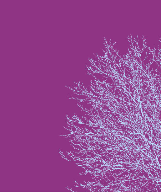 树的轮廓图片下载