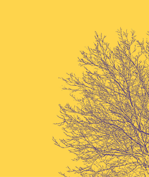 树的轮廓图片下载