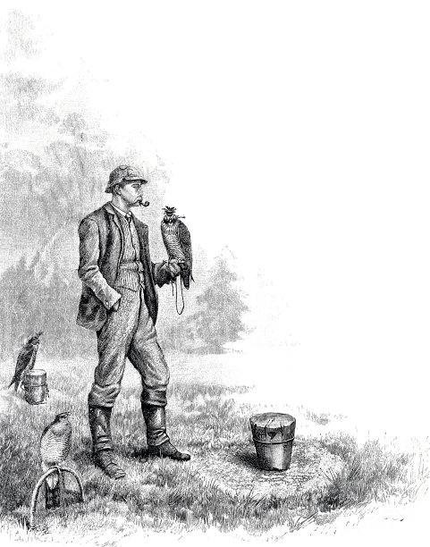 握着一只猎鹰的猎鹰人站在户外图片下载