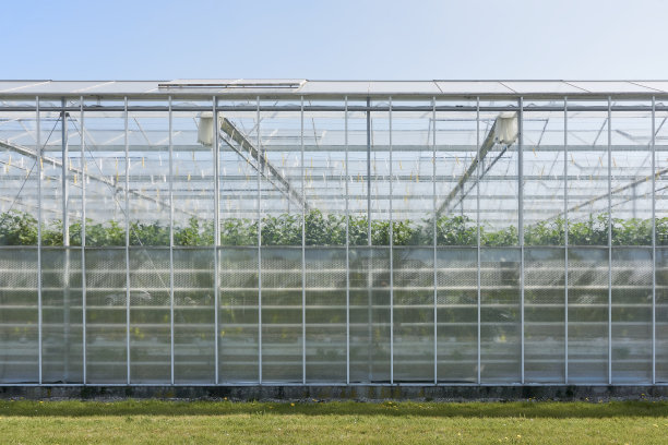 种植番茄的工业温室图片下载