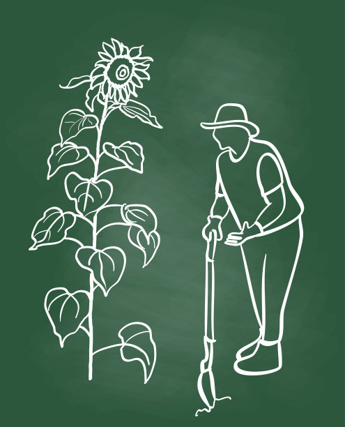 向日葵园丁黑板图片下载