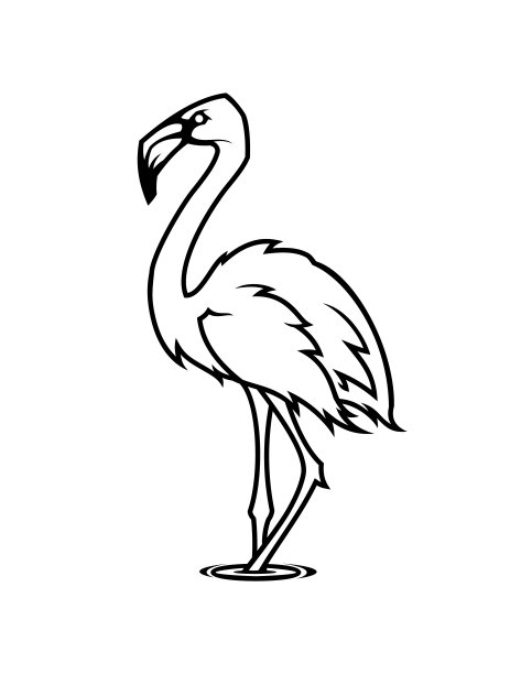 火烈鸟轮廓。热带鸟类特征图片下载