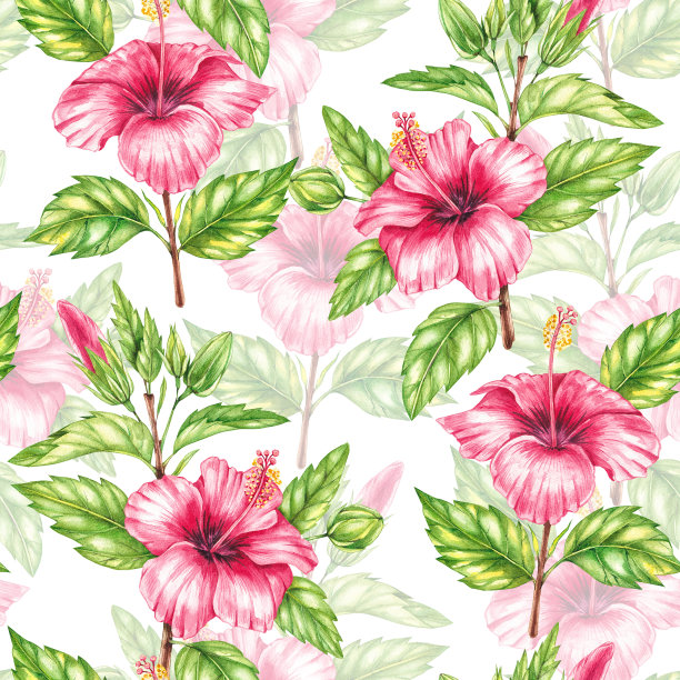 水彩红色芙蓉图案图片下载