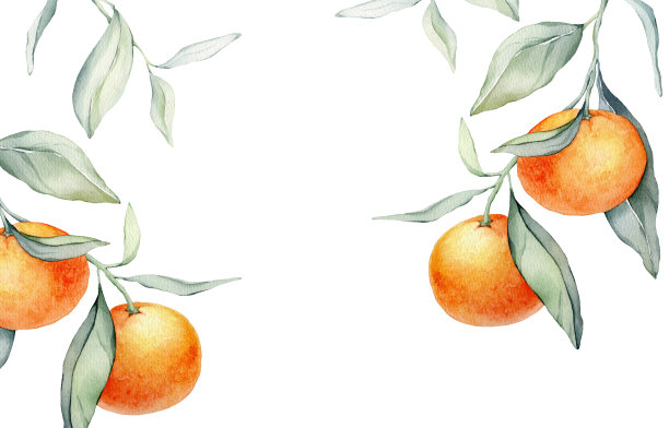 框架与橙色水果。手绘水彩插图方形框架与柑橘食物和绿叶在白色孤立的背景。用热带柑橘作标签或贴纸。图片下载