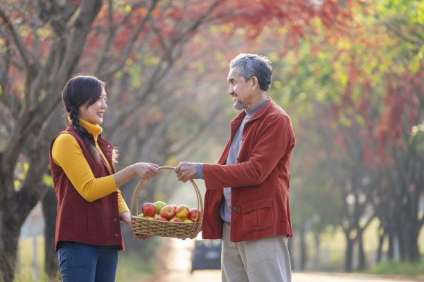 快乐的园丁家庭，父亲和女儿提着一篮子收获的苹果一起在秋天的街上走图片下载