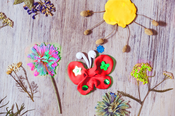 秋天的工艺品用天然干燥的花、草、叶。创造蝴蝶，太阳从橡皮泥，粘土。制作童话景观，激发灵感，想象力，教会孩子空间想象力图片下载