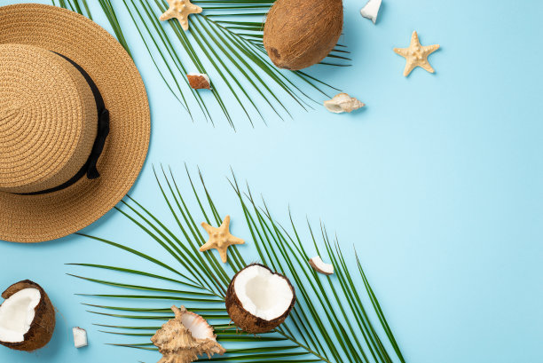 暑假的概念。顶视图照片的帽子椰子海星贝壳和棕榈叶孤立的浅蓝色背景与空白图片下载