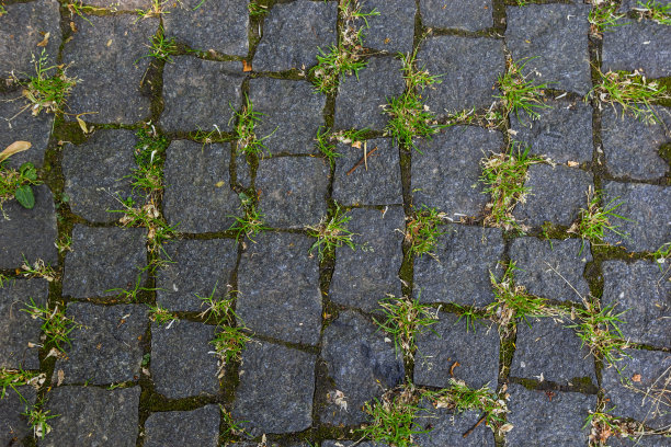 鹅卵石铺在绿草的路上。背景图片以城市规划、复古、旅行为主题图片下载