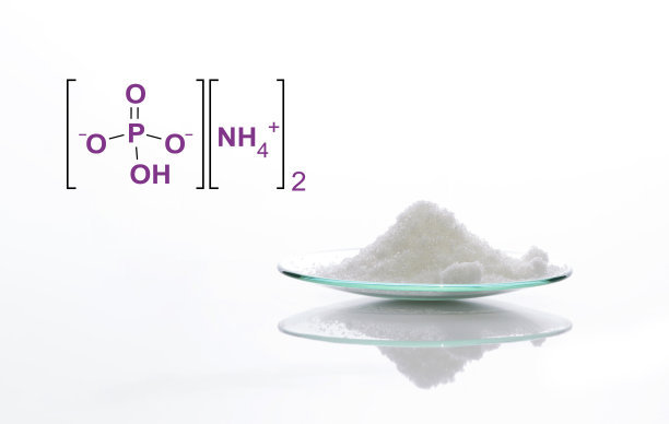 白色实验台上的化学成分特写。具有分子结构的化学表玻璃中的锑酸二铵。侧视图图片下载