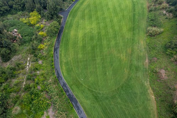 高尔夫球场的垂直鸟瞰图图片下载