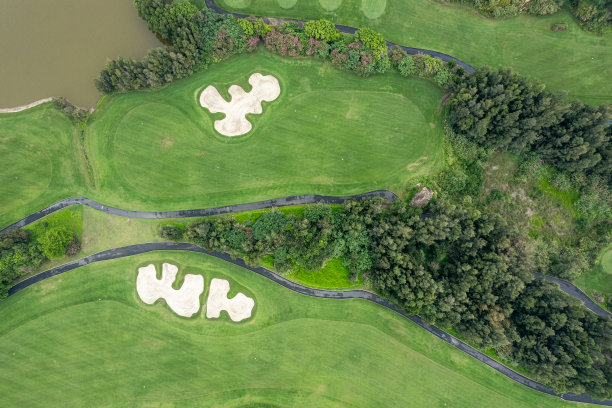 高尔夫球场的垂直鸟瞰图图片下载