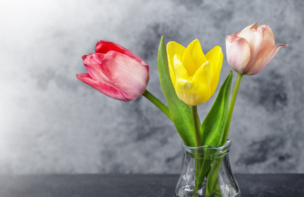 玻璃花瓶里一束鲜艳的郁金香图片下载